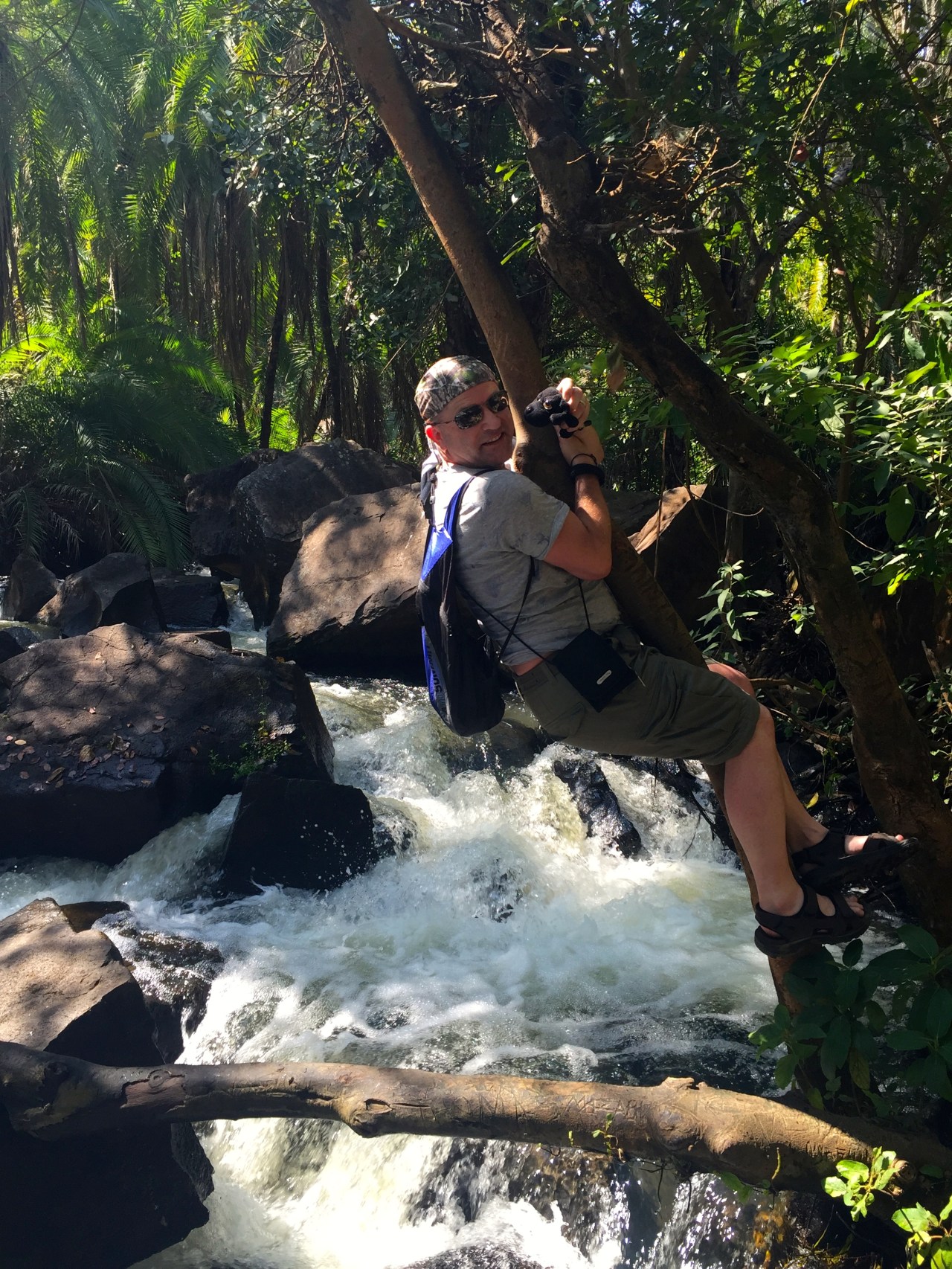 Hanging around in the trees