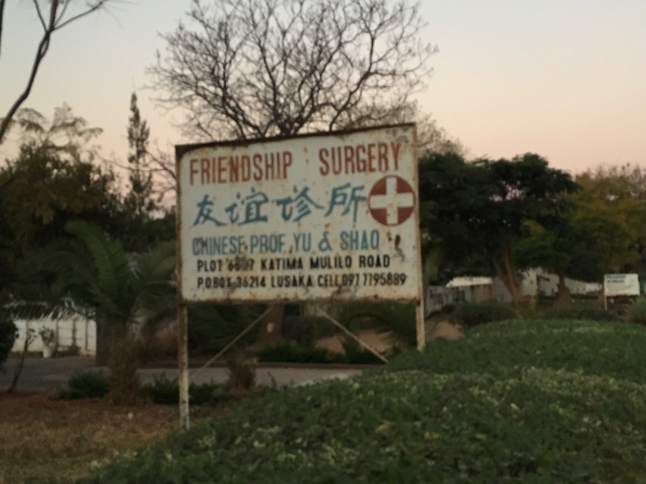 Want some new&nbsp;friends?