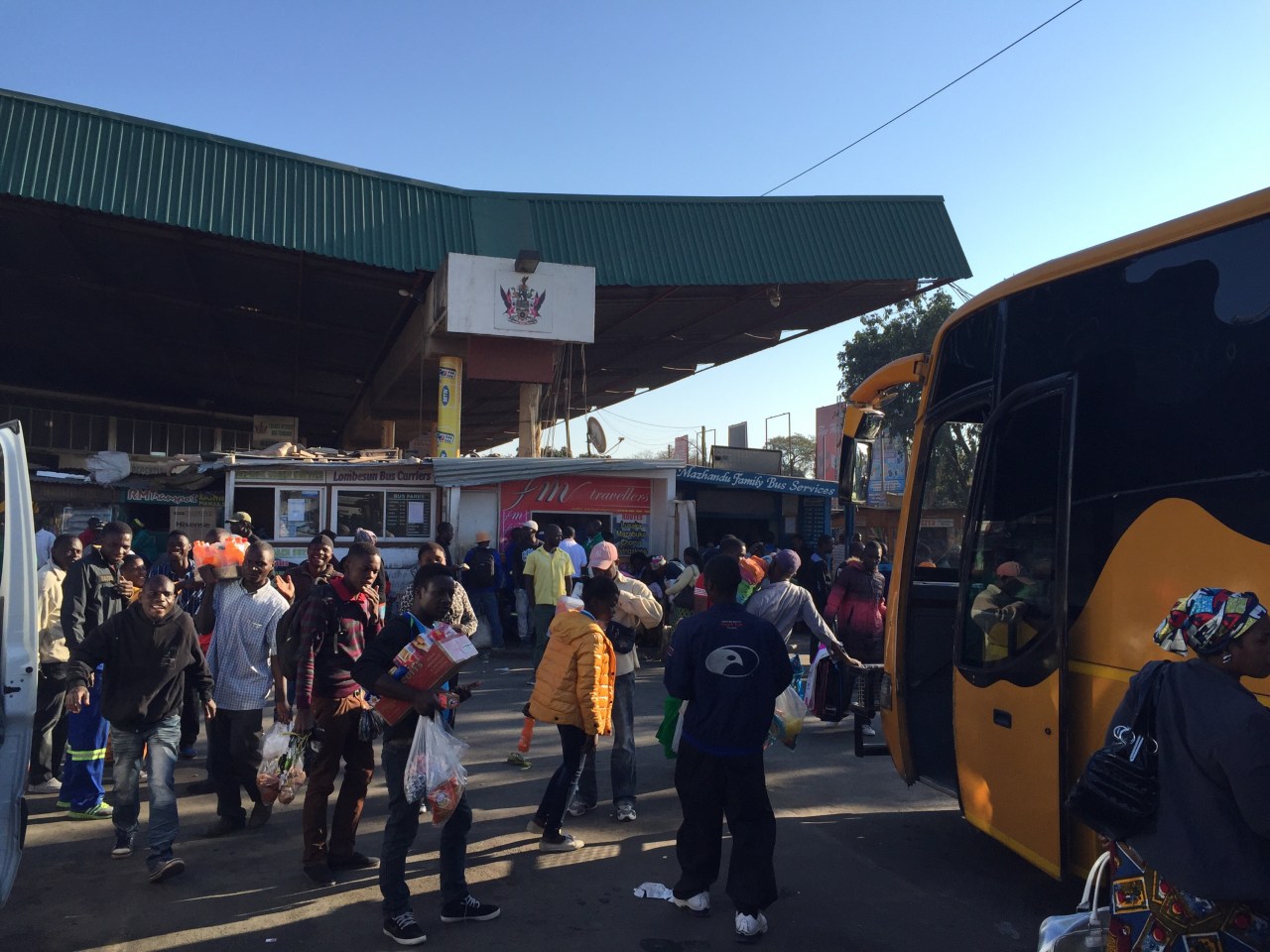 Cockroaches on 2&nbsp;legs