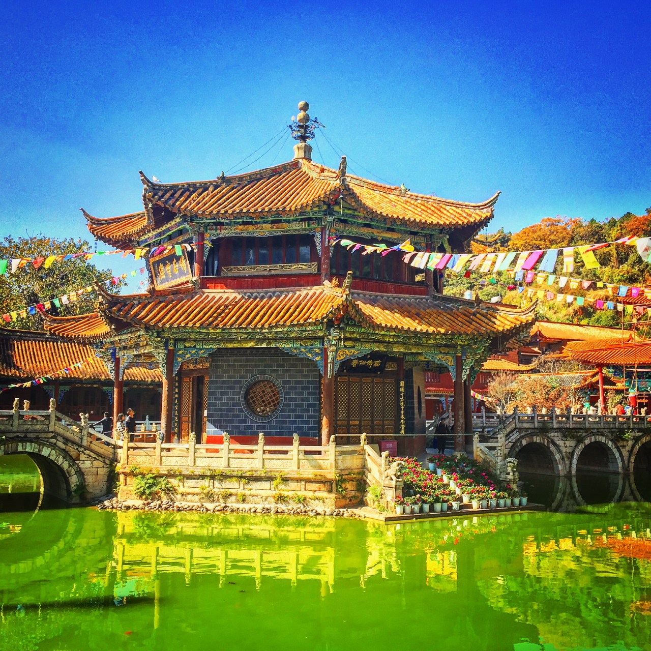 Plenty of gold but no treasure&nbsp;chest