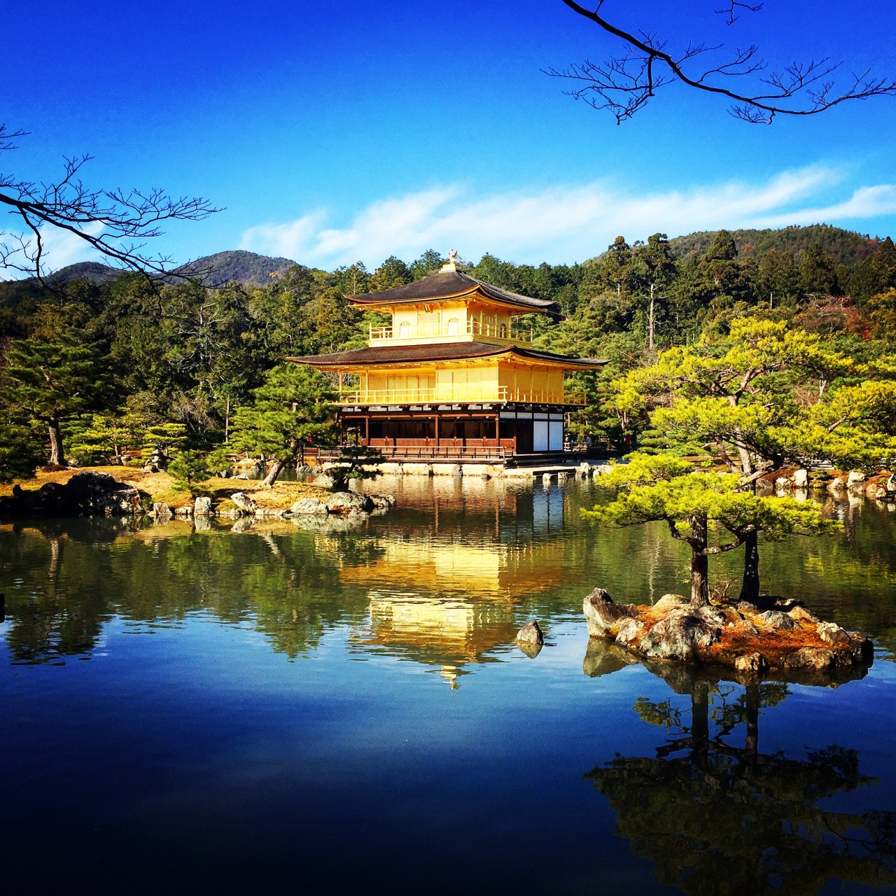 The Buddhist Monk who loved&nbsp;gold