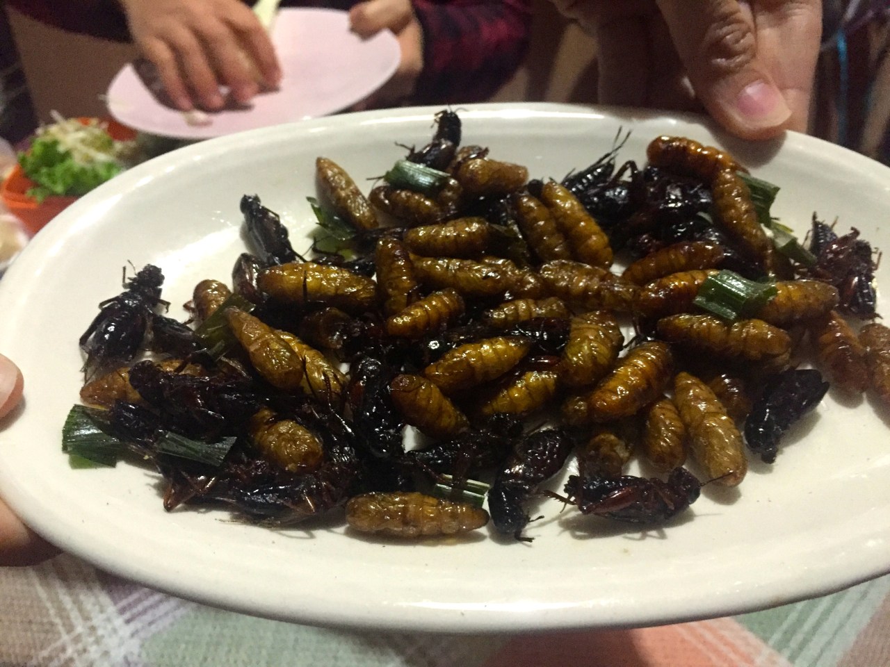 Crickets and silkworms for dinner in Phan