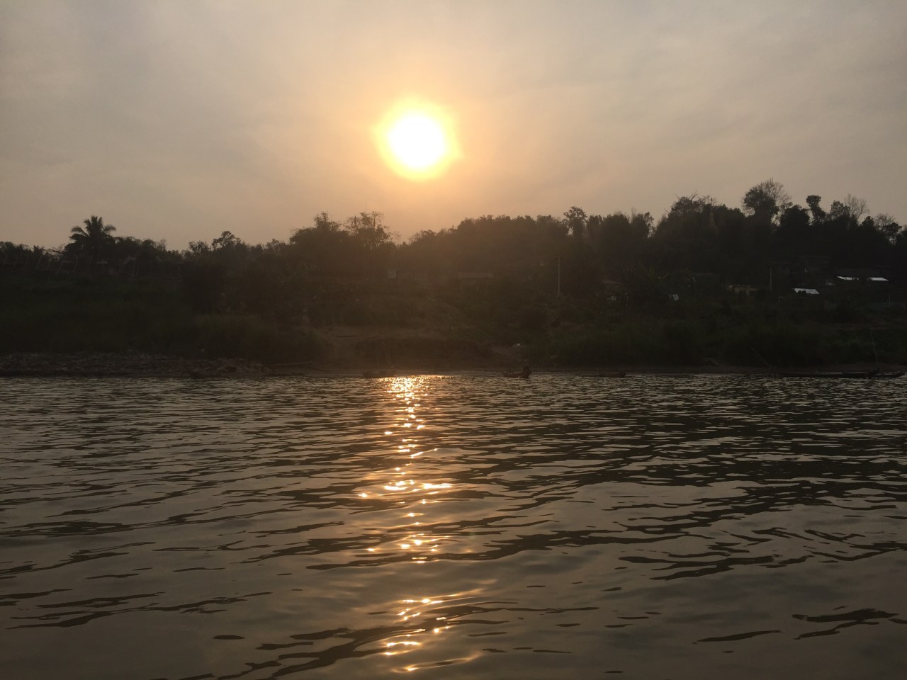 Feeling as horny as a&nbsp;catfish