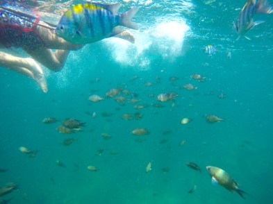 DCIM100GOPROGOPR0720.