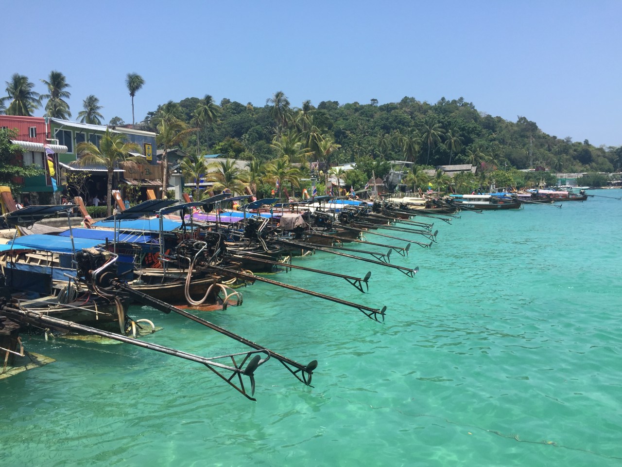 Koh Phi Phi and the attack of the killer&nbsp;crab