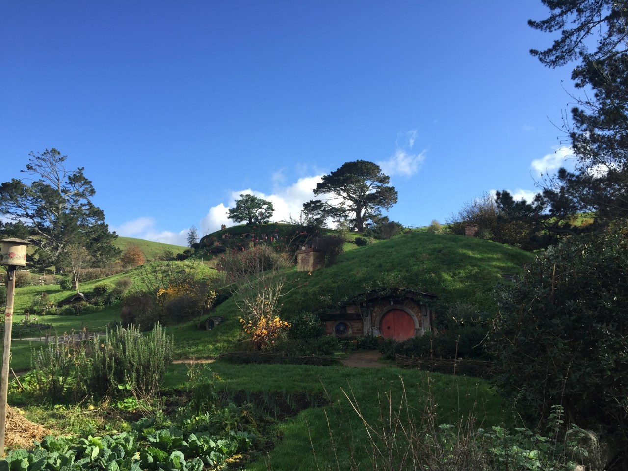 Alert, Alert! Two lifelike hobbits spotted in the&nbsp;shire