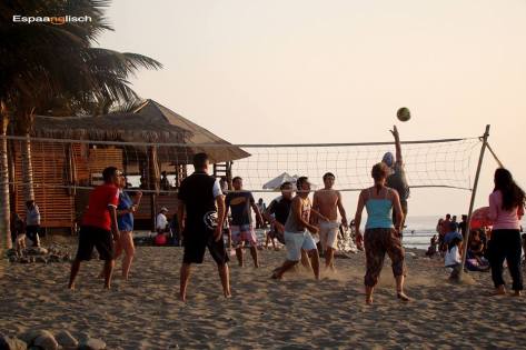 14330120_1467304939951516_658227963763602516_n