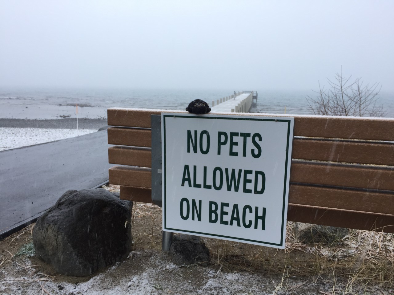 Bedtime antics in sleepy Redwood City&nbsp;suburbs