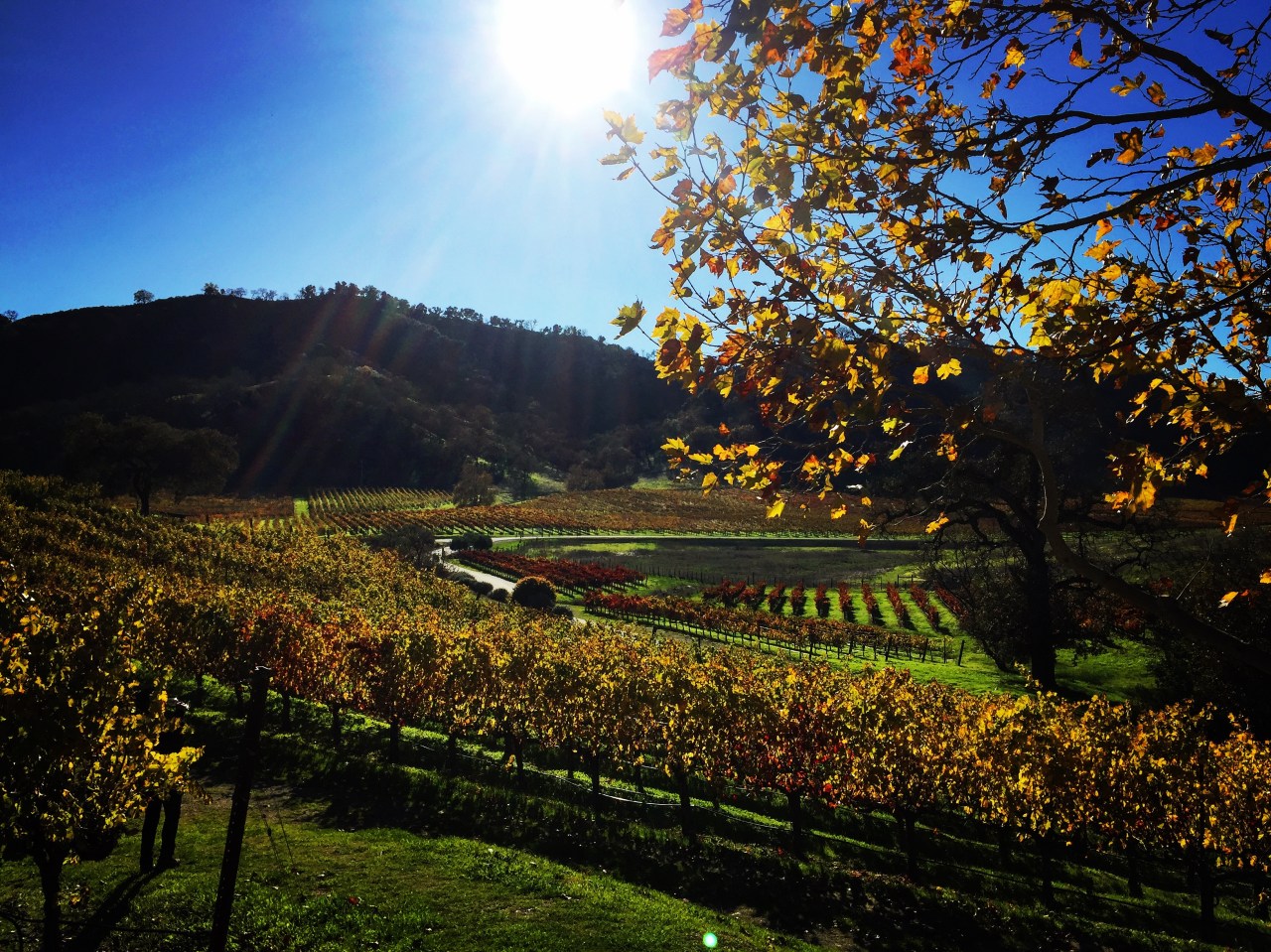 It’s a mystery spot with pals a long, long way from&nbsp;home