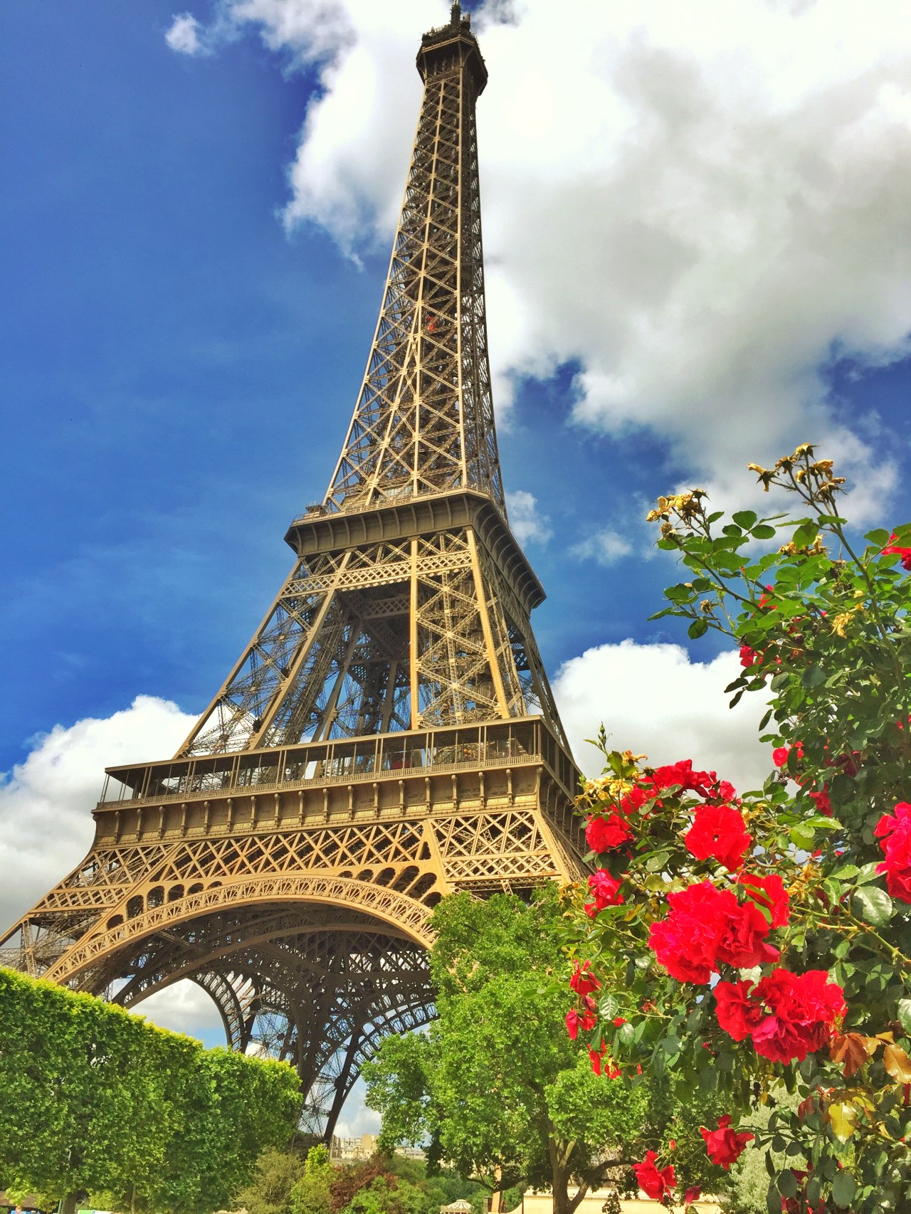 Profiter d’un pique-nique près de la rivière&nbsp;siene